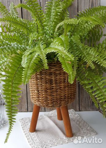 Кашпо плетеное для цветов