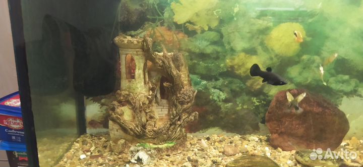 2 больших замка компрессор,фильтр