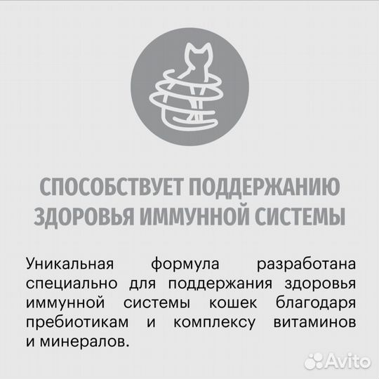 Сухой корм для беременных кошек и котят