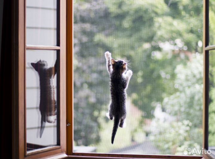 Москитные сетки антикошка на пластиковые окна