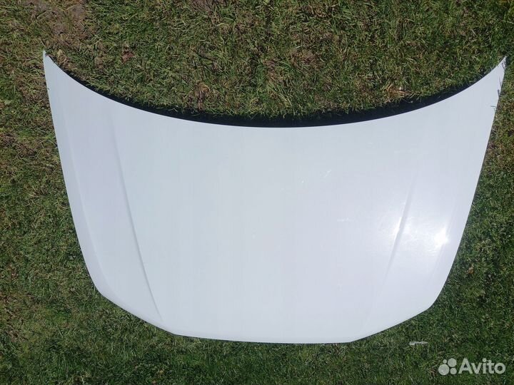 Ноускат Audi Q3 II (2018-н.в.)