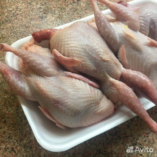 Мясо Перепелов, Мясо утки, Мясо кролика