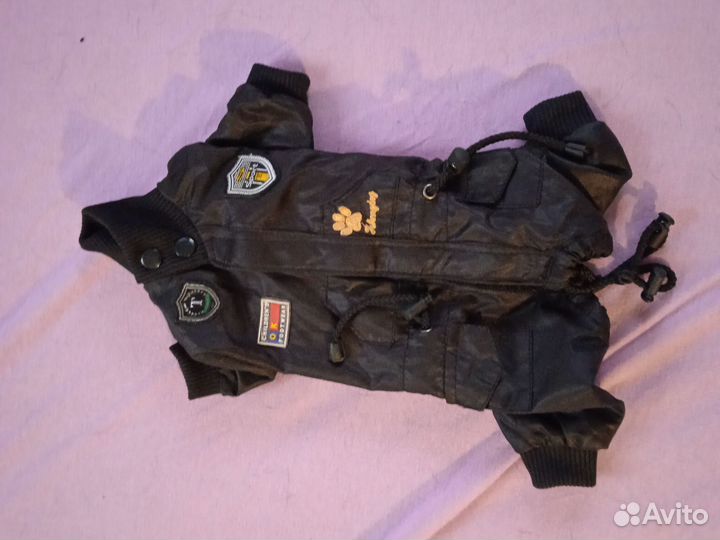 Одежда для собак