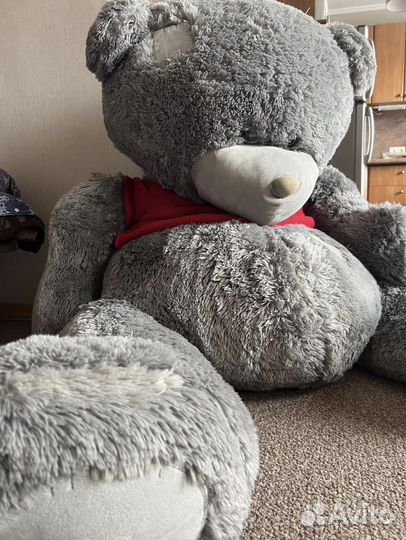 Мишка тедди