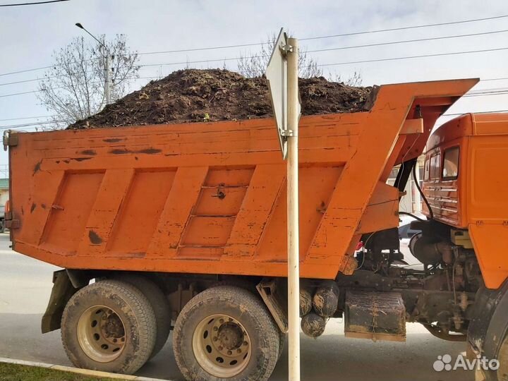 Растения для сада