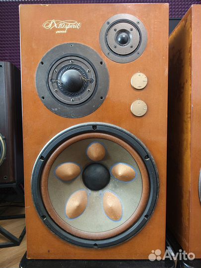 Акустическая система Victor SX-10 Spirit