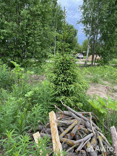 Приму грунт