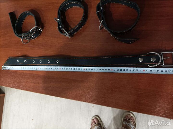 Ошейник для собак