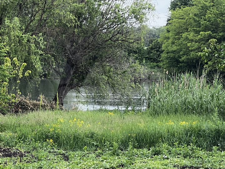 Дом 47,1 м² на участке 25 сот.