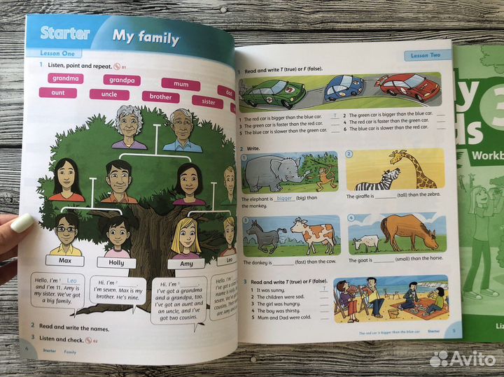 Family and Friends 3