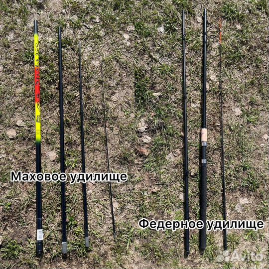 Спининг в аренду