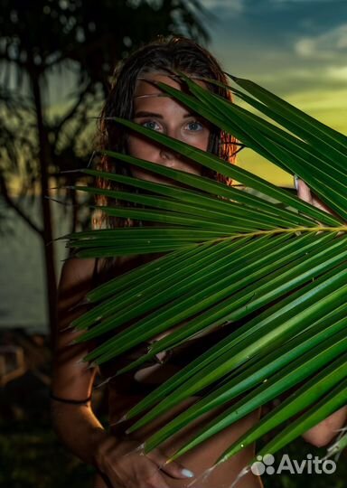 Фотограф Пхукет