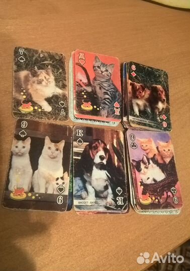 Игральные карты Кошки/собаки, Ragnarok