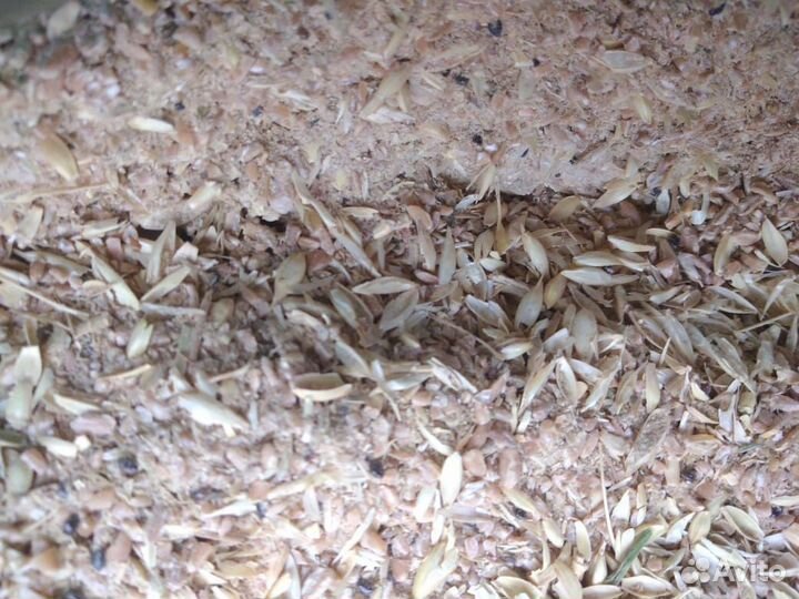 Зерновые отходы