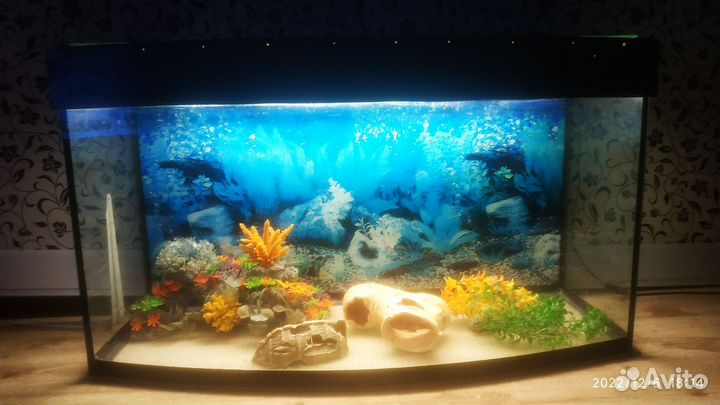 Аквариум
