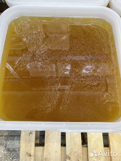 Свежий мед цветочный оптом