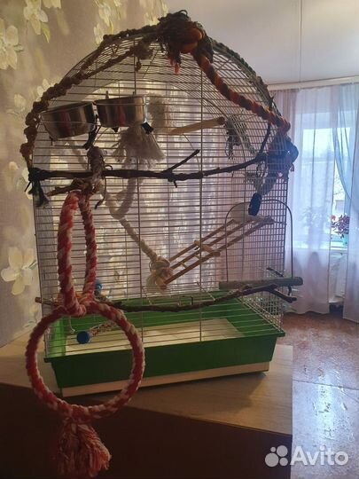 Клетка для попугая корелла