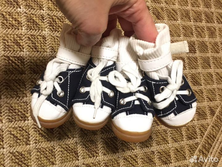 Кеды для собачки