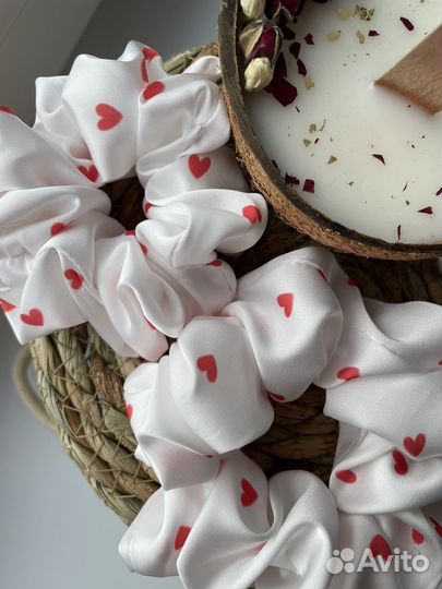 Одежда для собак