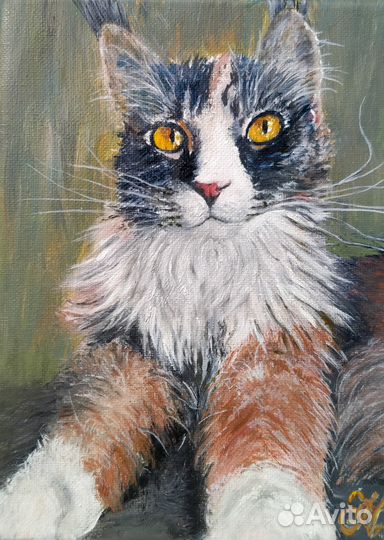 Киса Алиса. Парадный портрет