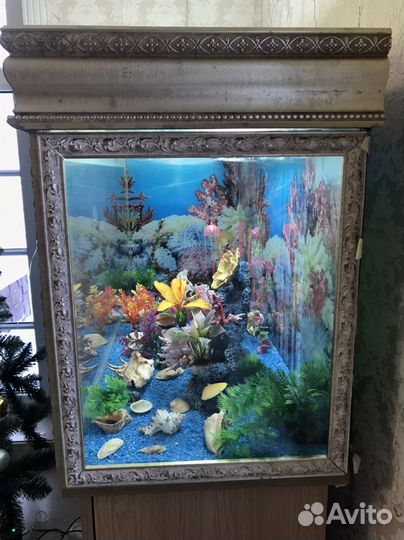 Сюда все вопросы про дом и аквариум