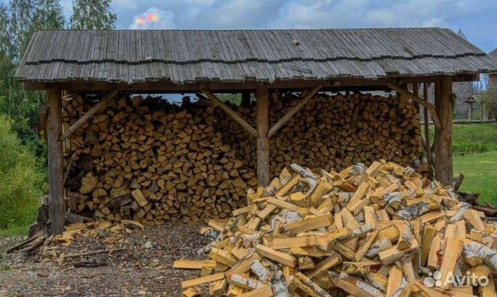 Дрова осина