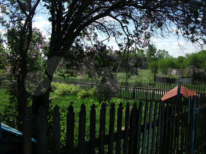 Дом 32 м² на участке 40 сот.