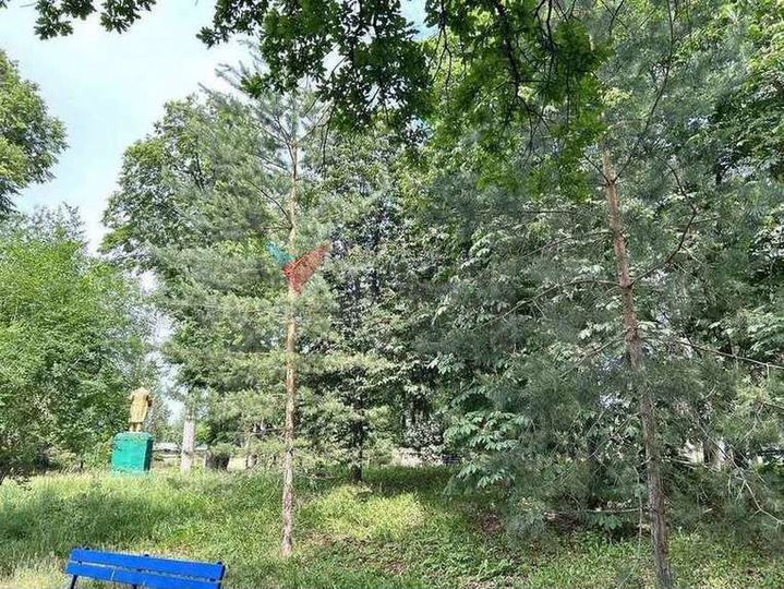 Участок 15 сот. (СНТ, ДНП)