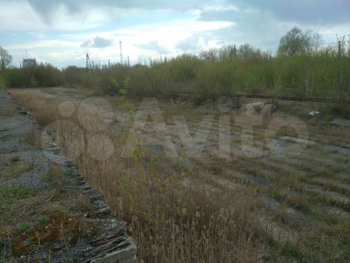 Участок 50 сот. (промназначения)