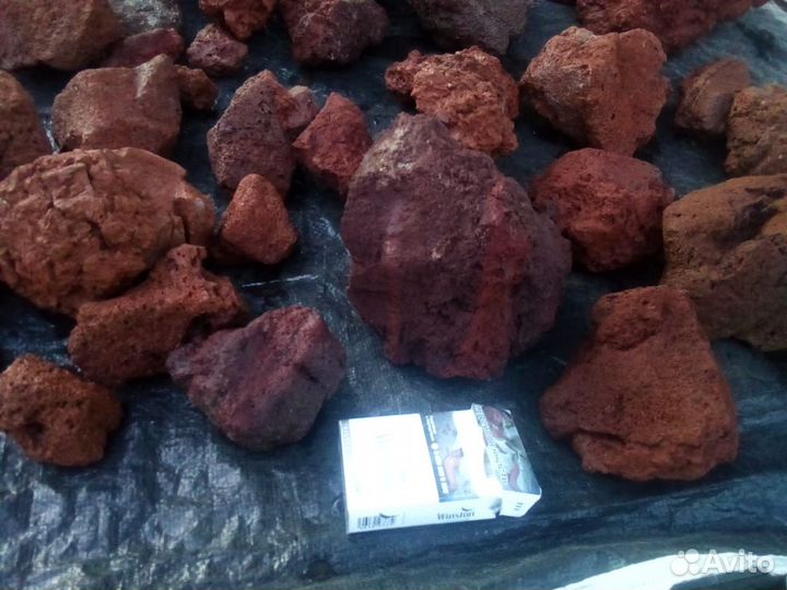 Лава красная аквариумная