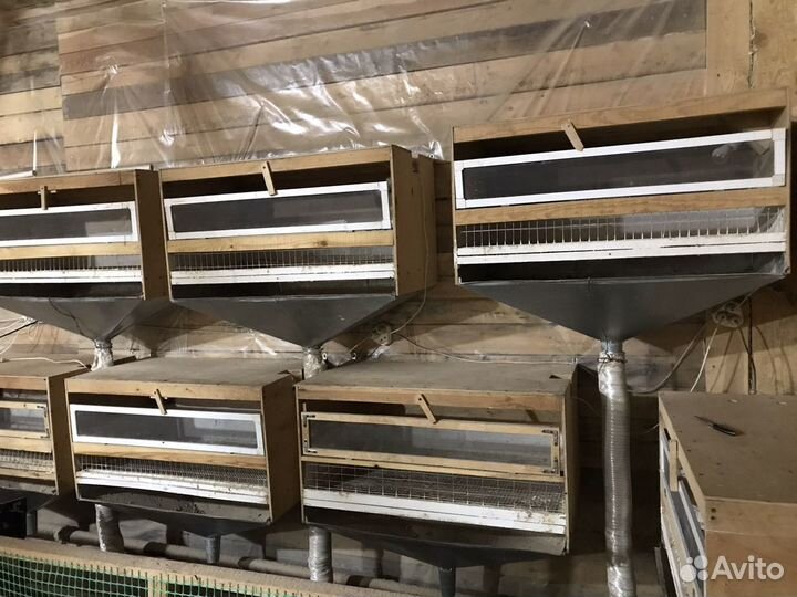 Клетка брудер для цыплят