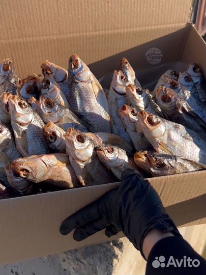 Вобла вяленая с икрой