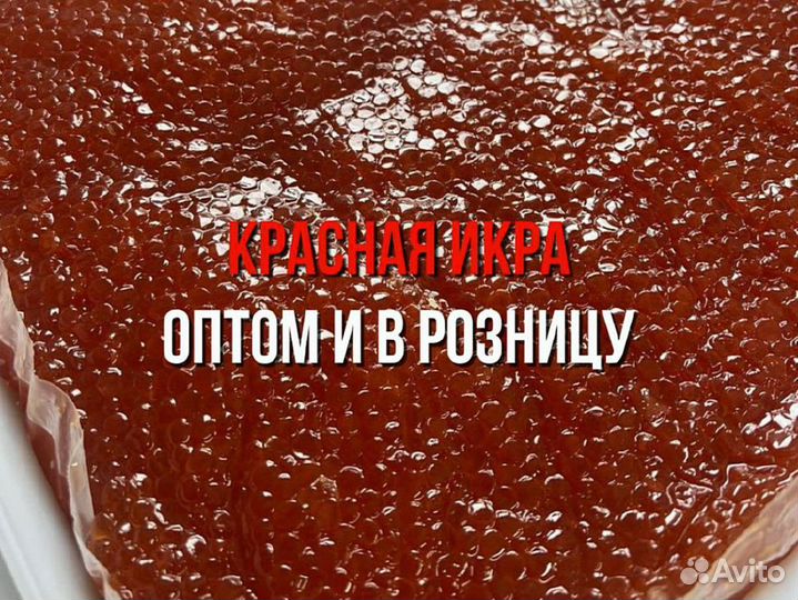 Икра Кеты опт