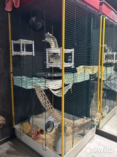 Клетка Furet Tower XL (с наполнением)