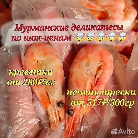 Креветки северные 300+