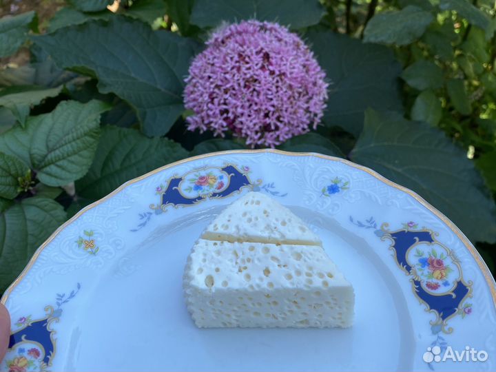 Сыр домашний козий