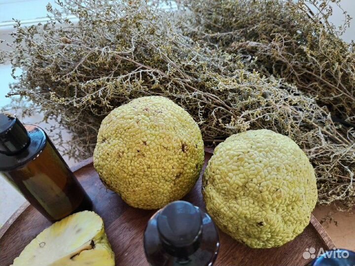 Мазь маклюра для сустав