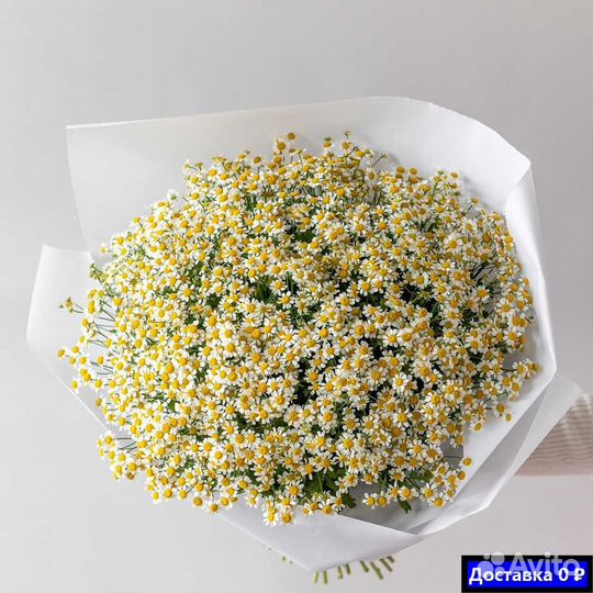Ромашки для мероприятий