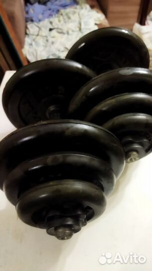 Гантели разборные Титан