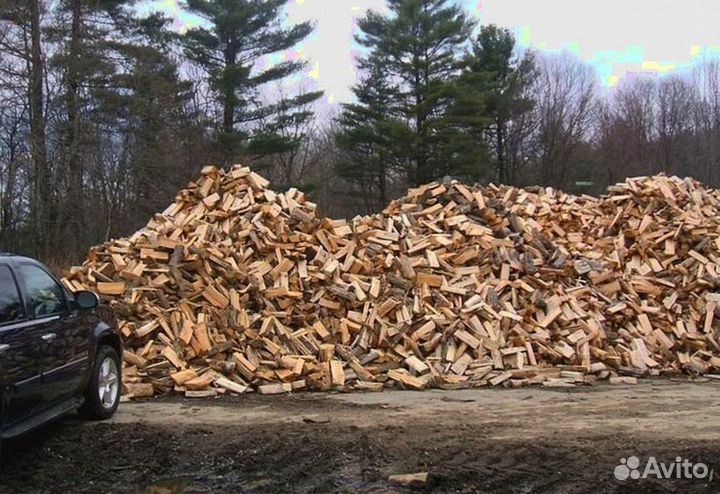 Дрова в ло