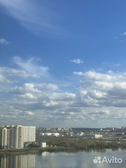 Готовое ООО