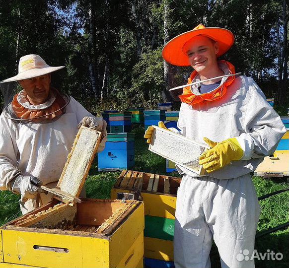 Продукты пчеловодства (общий прайс)