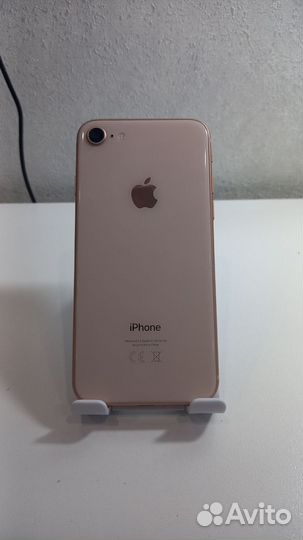 iPhone 8