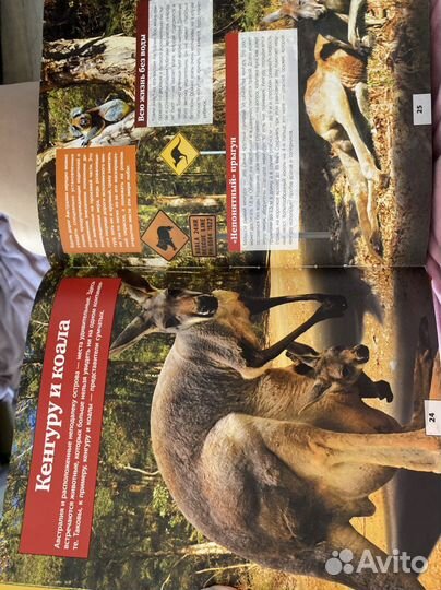 Большая 3D энциклопедия 