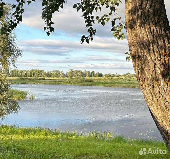 Администратор в баню (п. Новоживотинное)