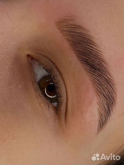 Мастер бровист