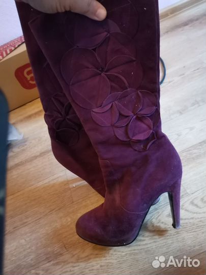 Сапоги женские paolo conte