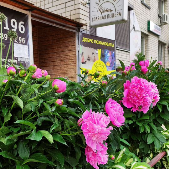 Свободного назначения, 56.3 м²