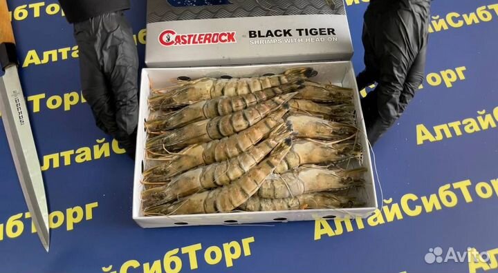 Черная тигровая креветка