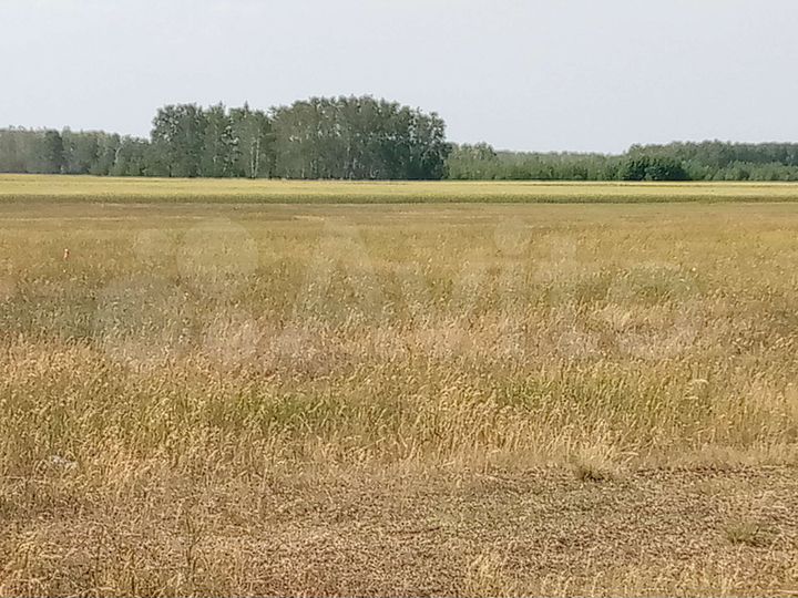 Участок 13 сот. (ИЖС)